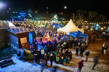 Plan your perfect Mt. Buller day trip with activities, transport, and snow fun